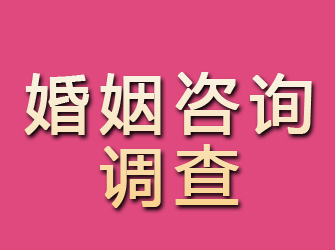 内黄婚姻咨询调查